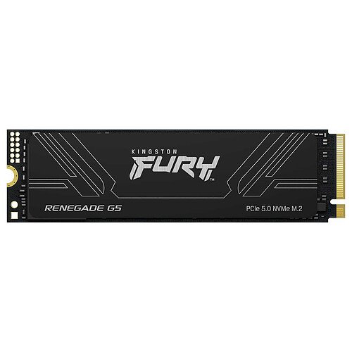 Kingston FURY Renegade G5 1 To